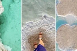 Everything For a Trip to Explore Al Wathba Salt Lake