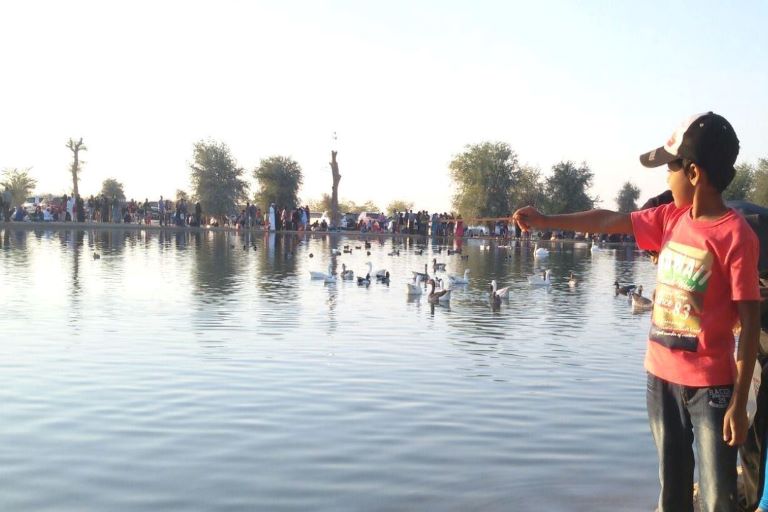 Camping in Dubai