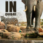 Best Zoos in Dubai