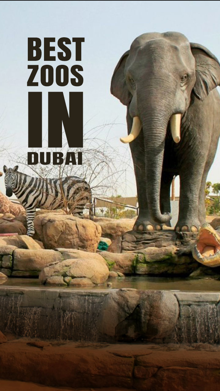 Best Zoos in Dubai